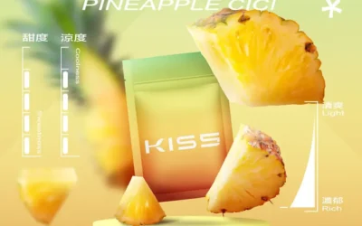 kis5煙彈-kis5電子煙鳳梨口味一代煙彈適用